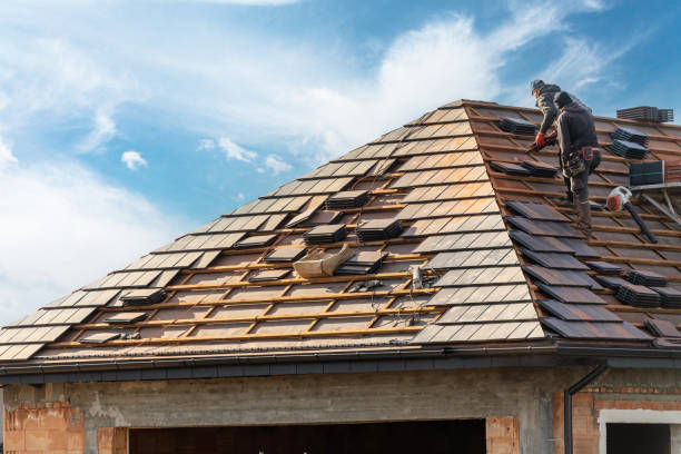 Best Asphalt Shingle Roofing  in League City, TX